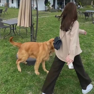 爱你活该我倒霉