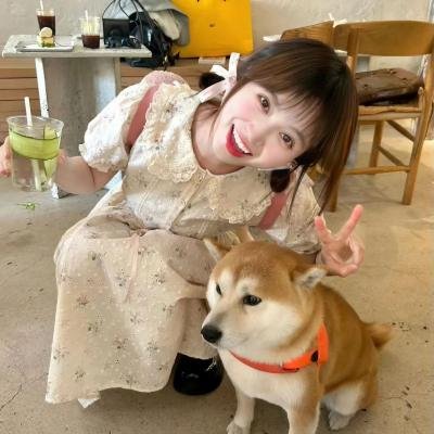 寻枪